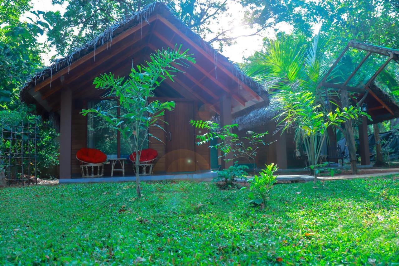 Palmyra Nature Resort Sigiriya Eksteriør bilde